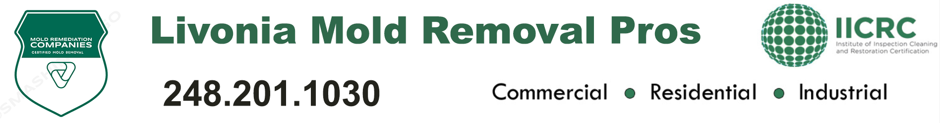 Livonia Mold Removal Pros