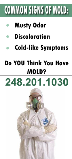 Livonia Mold Remediation Contractor